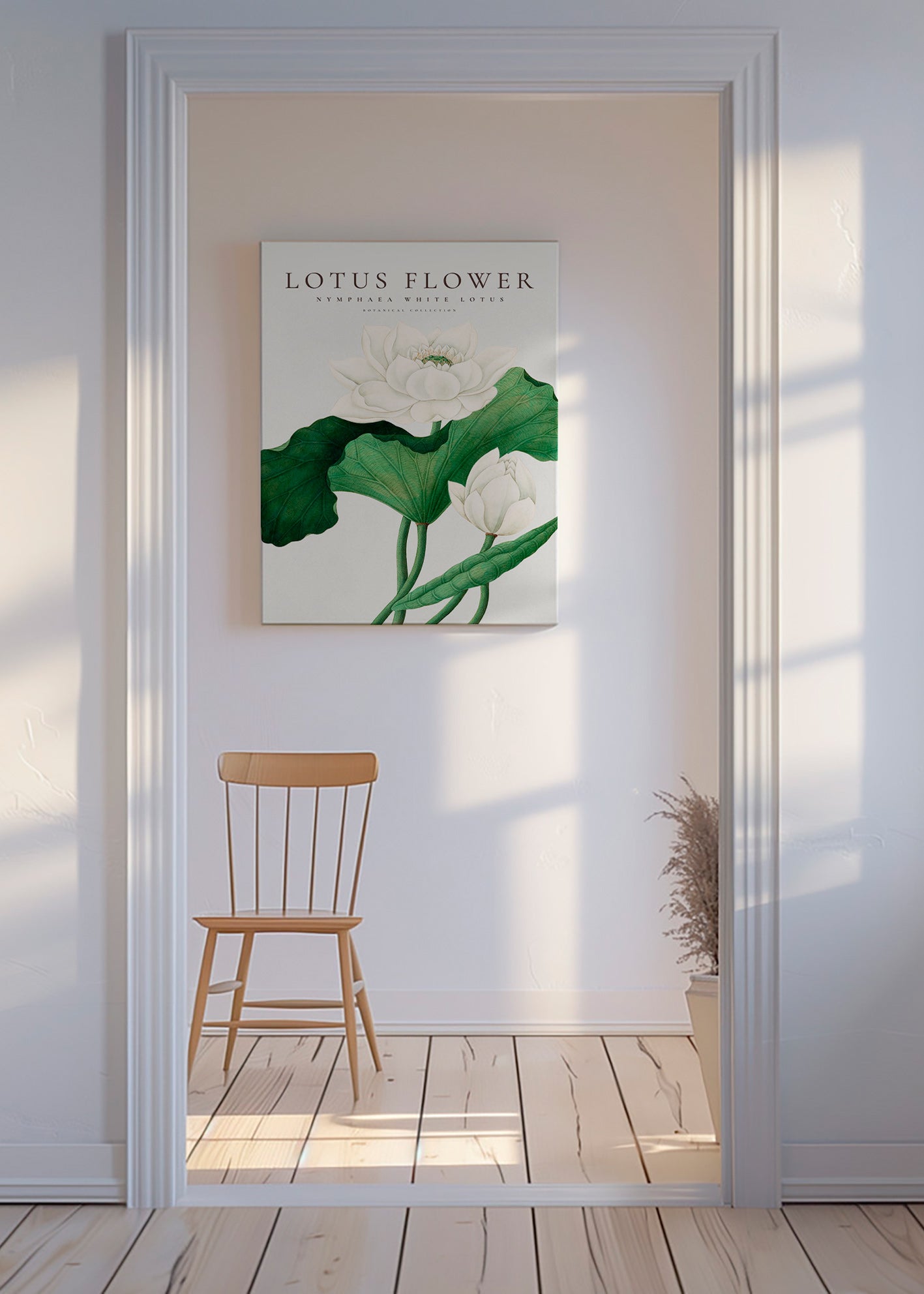 Botanisk plakat Hvid lotus studie