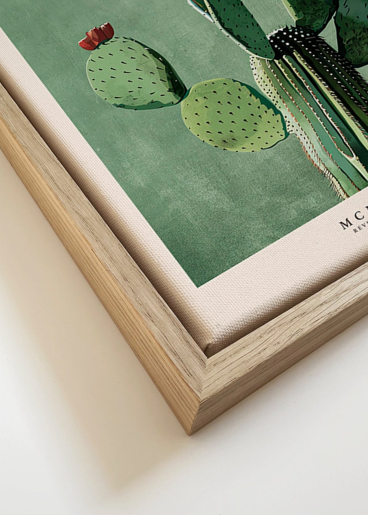 Botanisk plakat Mexico med kaktus