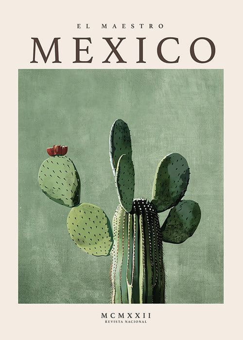 Botanisk plakat Mexico med kaktus