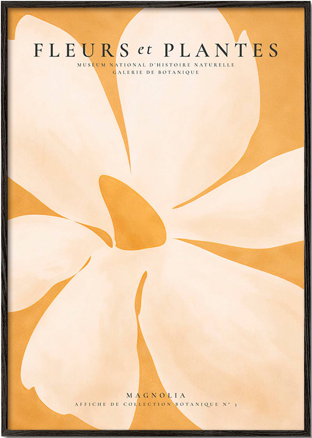 Botanisk plakat Magnolia stort format