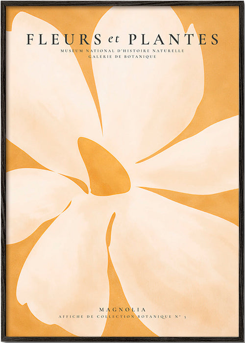 Botanisk plakat Magnolia stort format