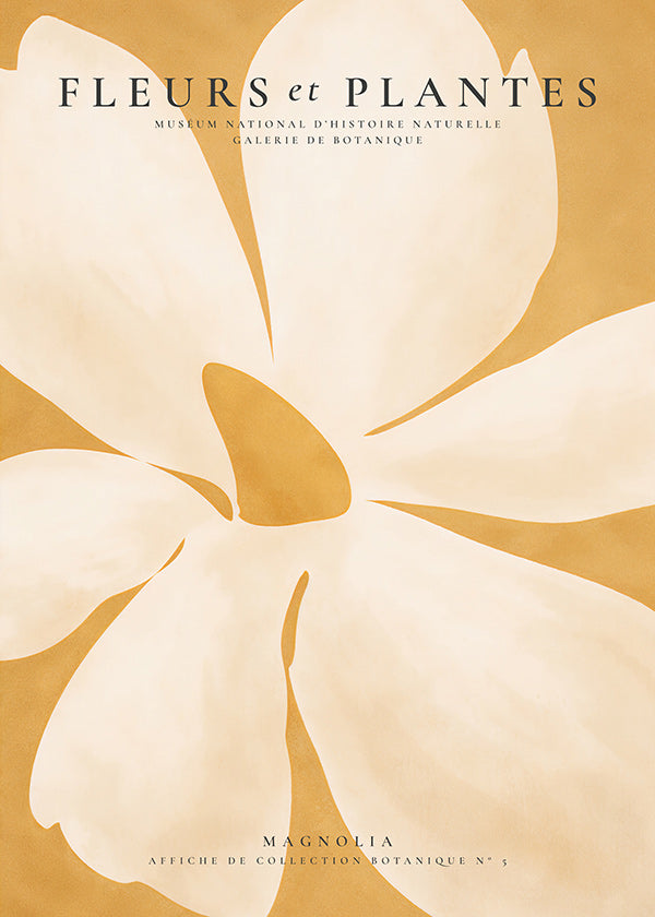 Botanisk plakat Magnolia stort format