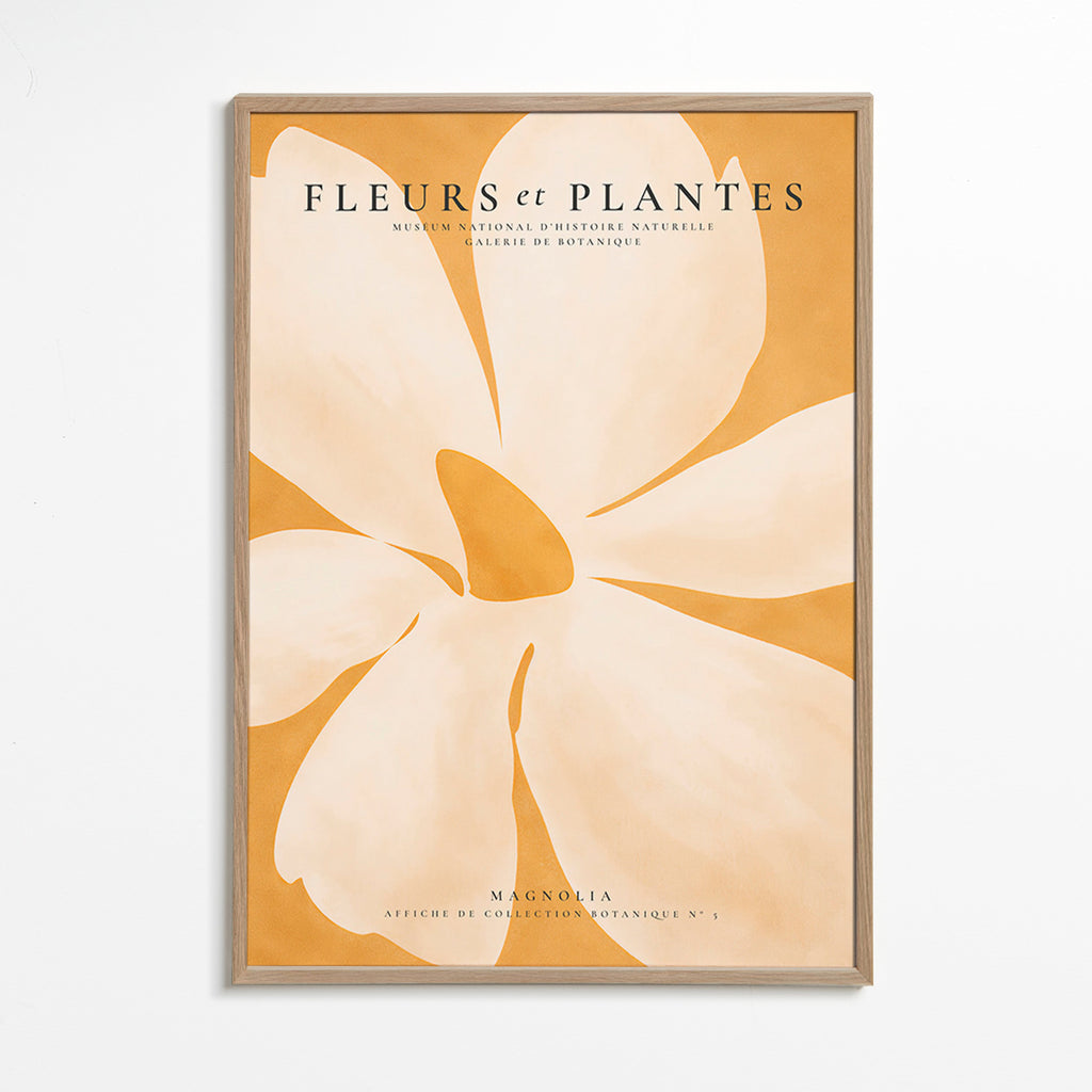 Botanisk plakat Magnolia stort format