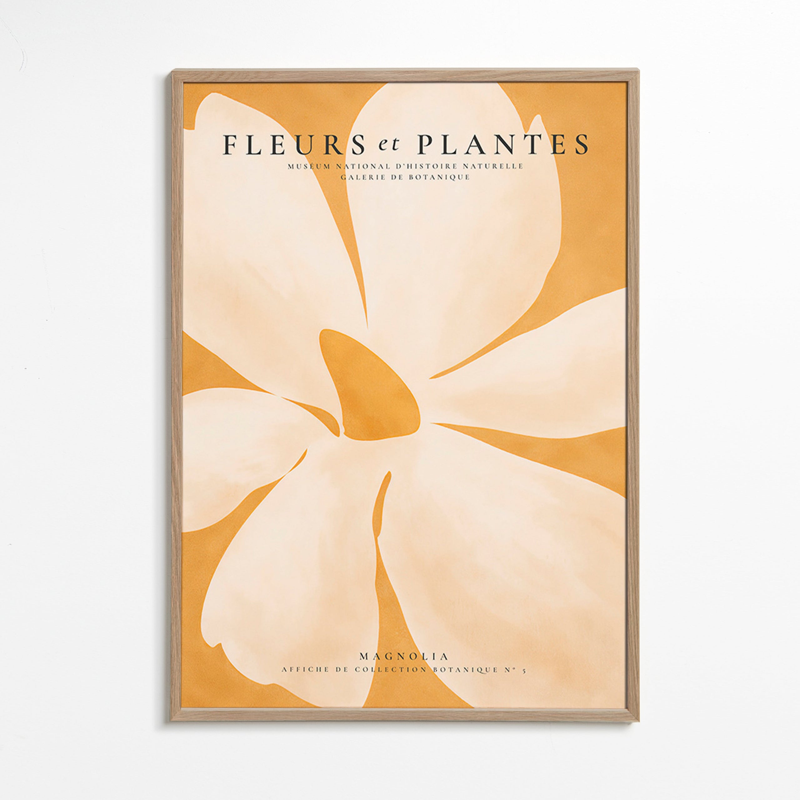 Botanisk plakat Magnolia stort format