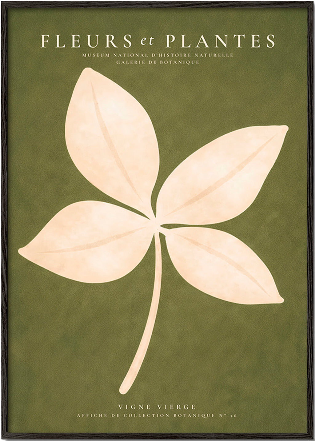 Botanisk plakat: cremeblad på grøn baggrund