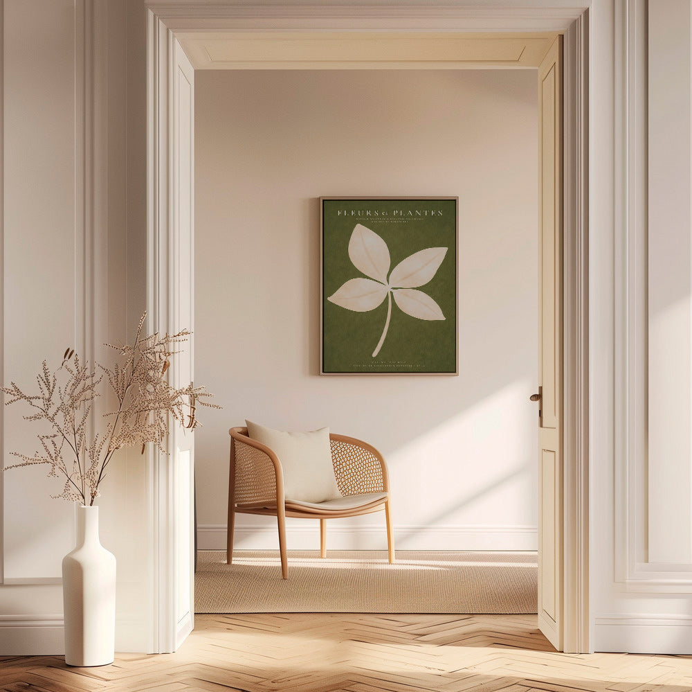 Botanisk plakat: cremeblad på grøn baggrund