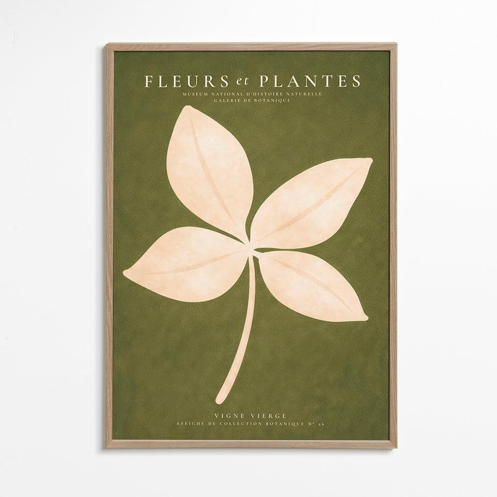 Botanisk plakat: cremeblad på grøn baggrund