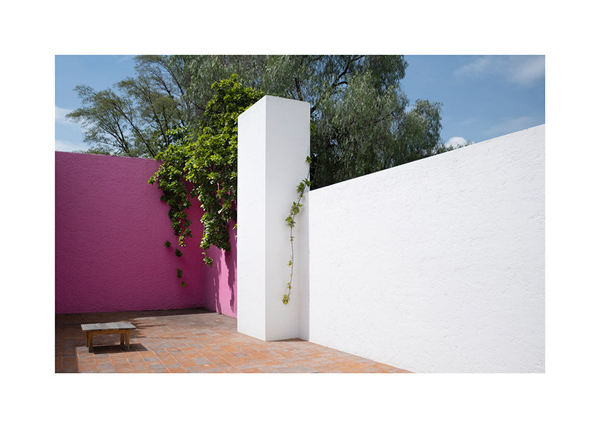 Minimalt design: rosa og hvid gårdhave