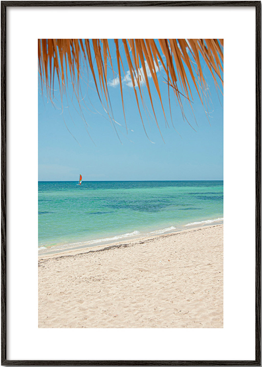 Landskab: caribisk strand med palme
