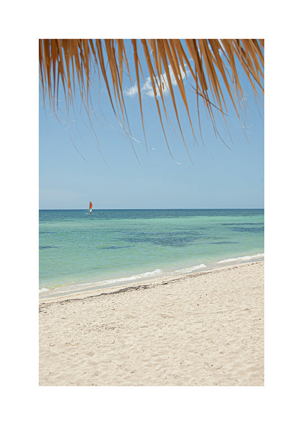 Landskab: caribisk strand med palme