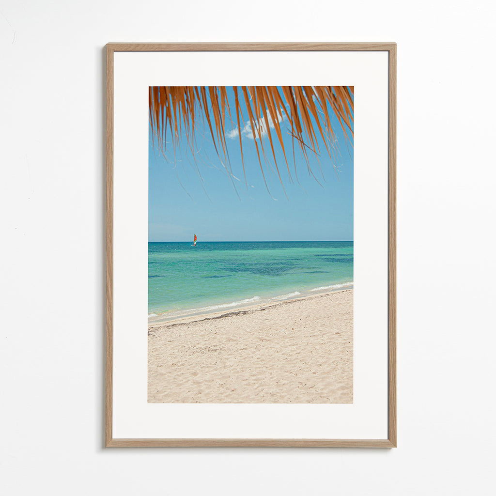 Landskab: caribisk strand med palme