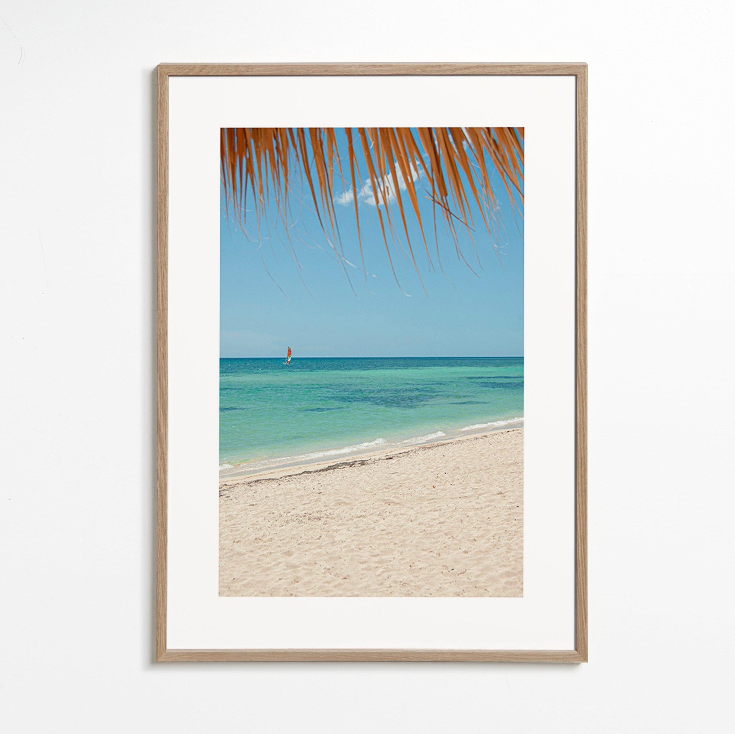 Landskab: caribisk strand med palme
