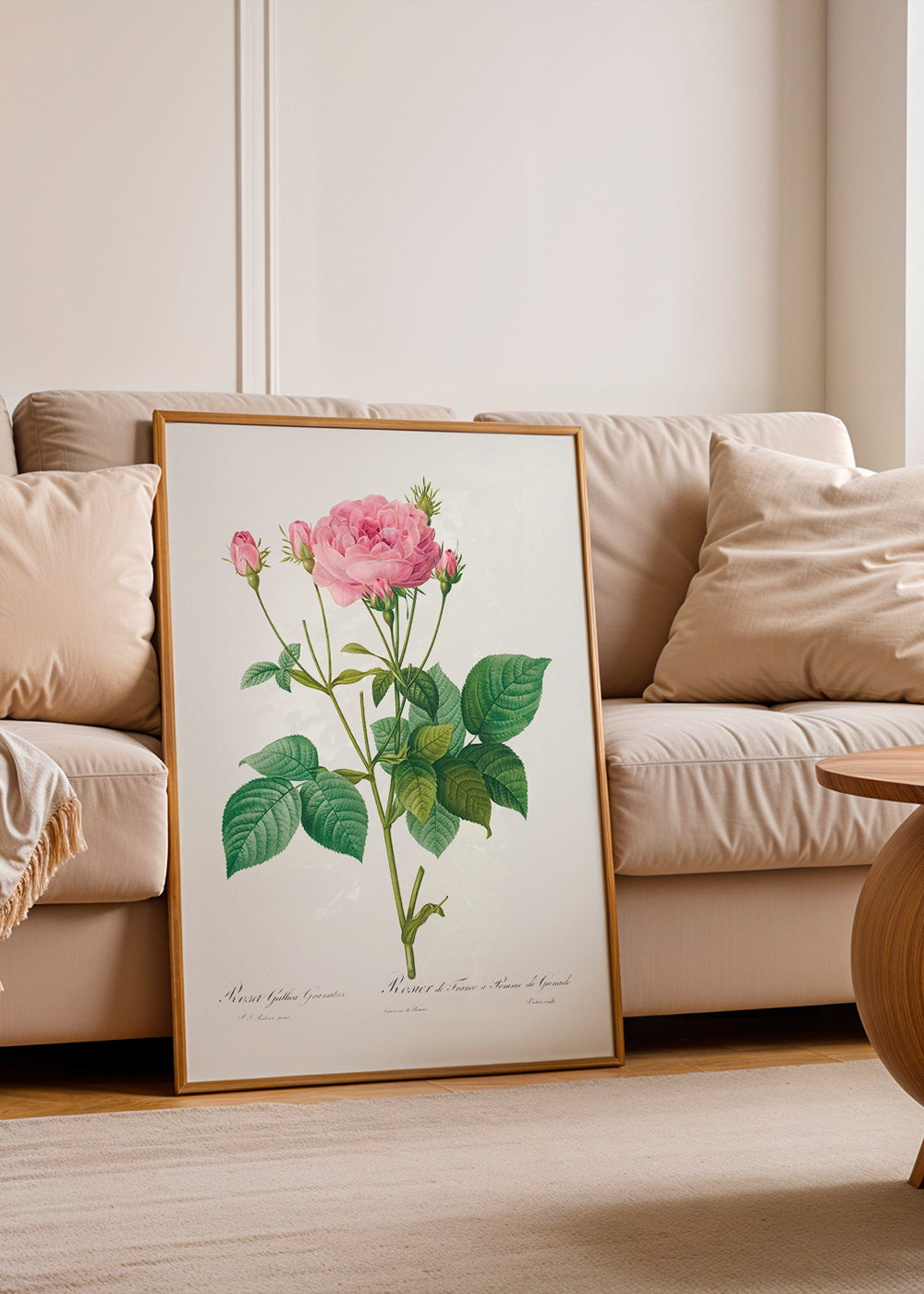 Botanisk plakat Rose Gallica – Product1