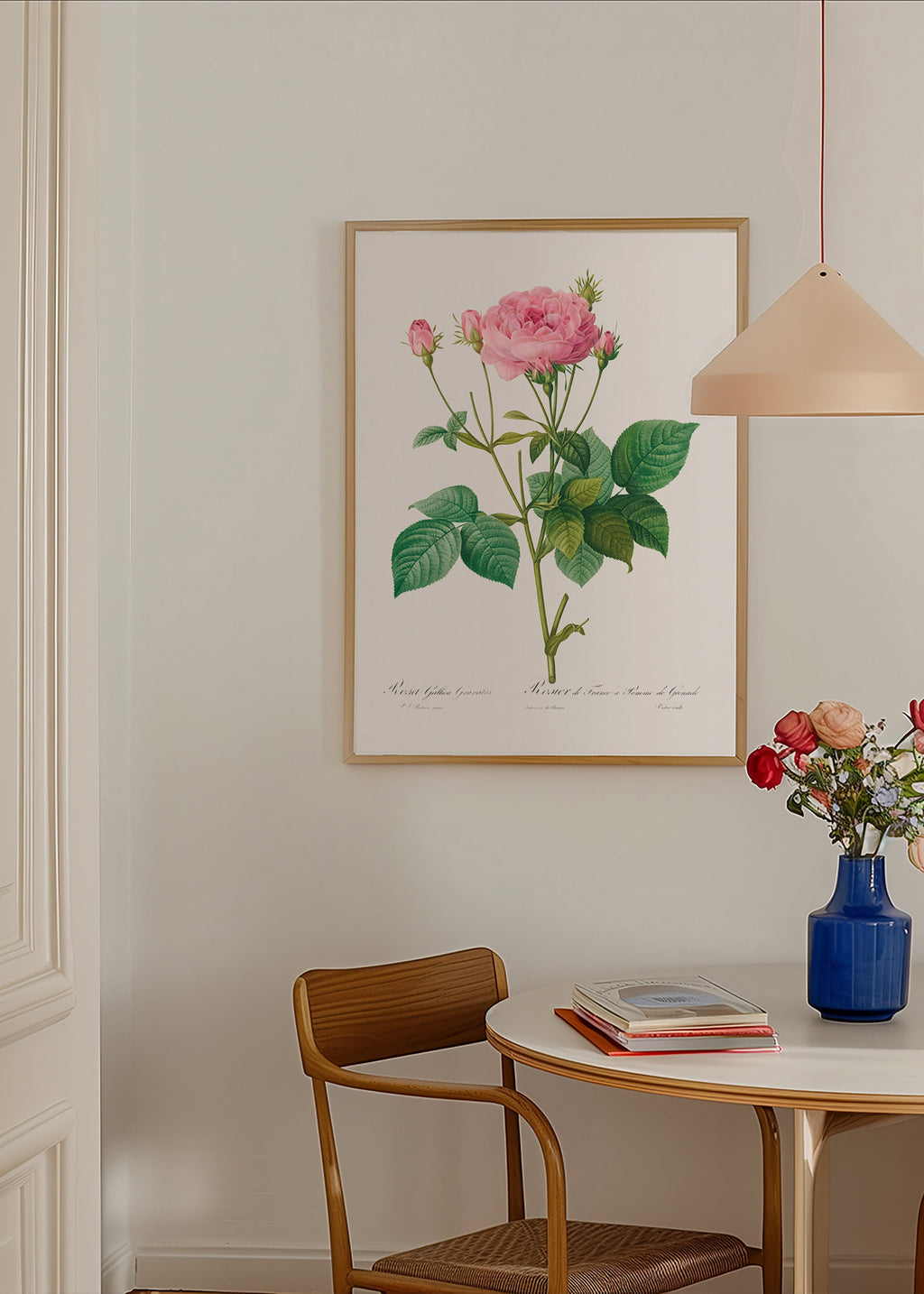 Botanisk plakat Rose Gallica – Product2