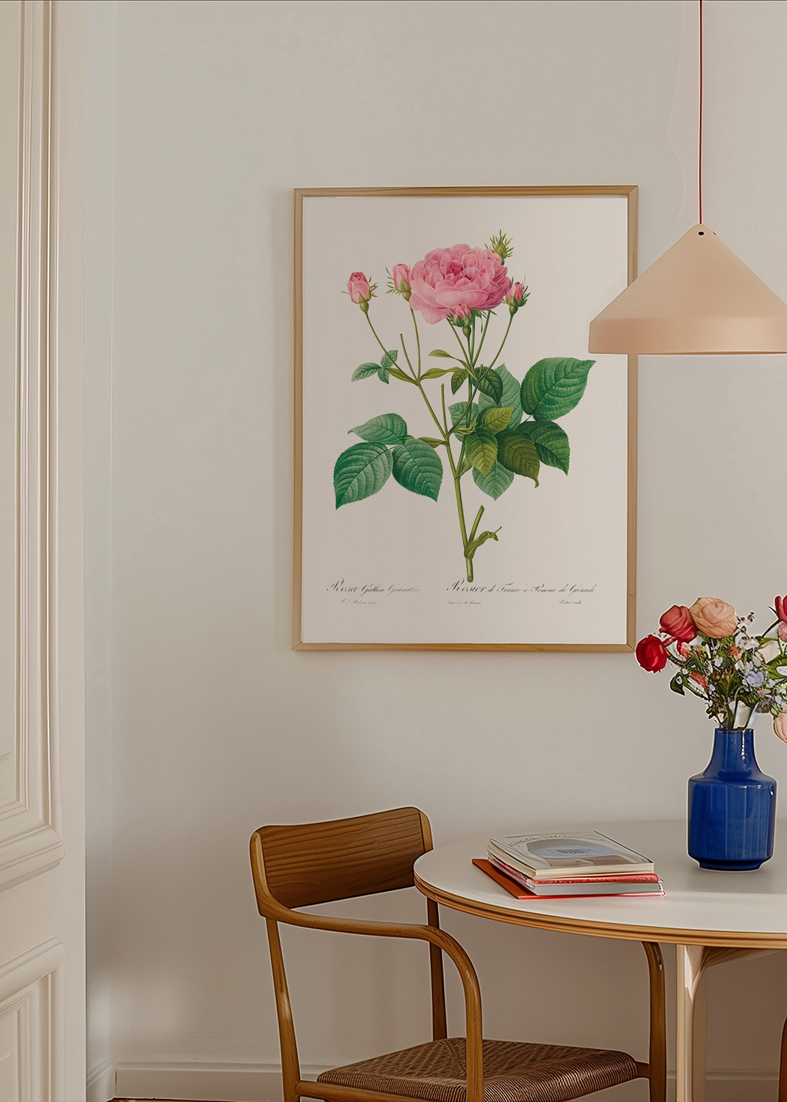 Botanisk plakat Rose Gallica – Product2