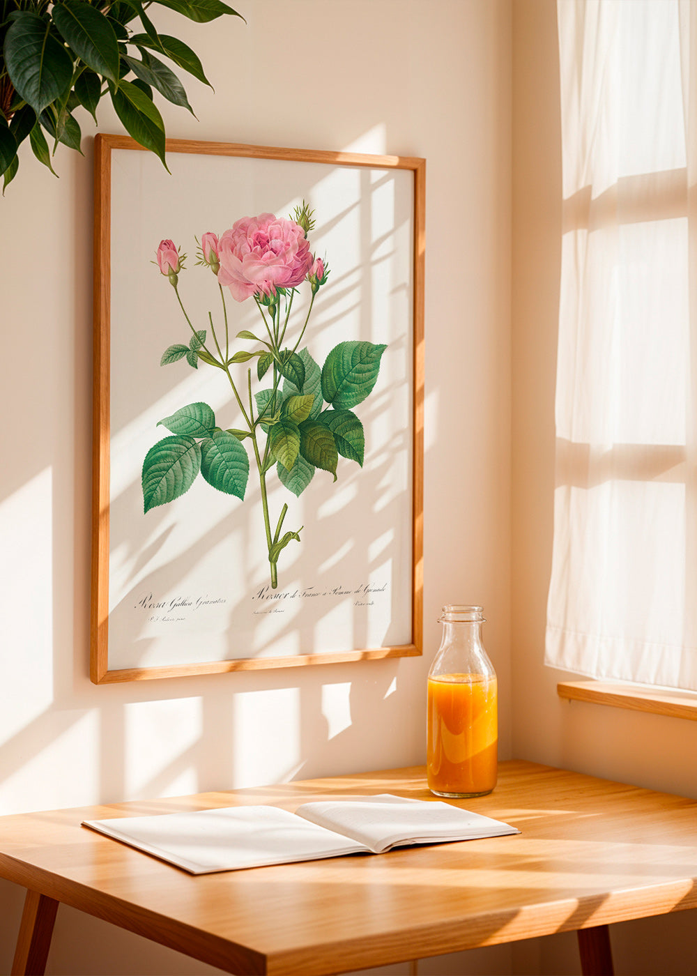 Botanisk plakat Rose Gallica – Product3