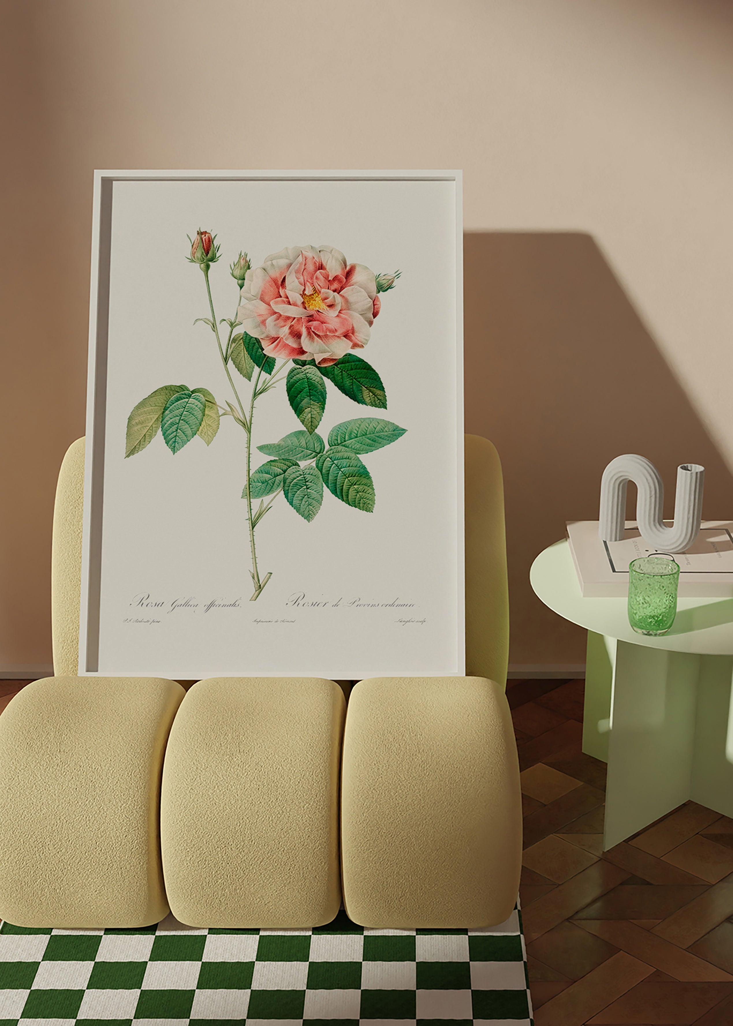 Botanisk plakat Rosa Gallica videnskabelig plade – Product2
