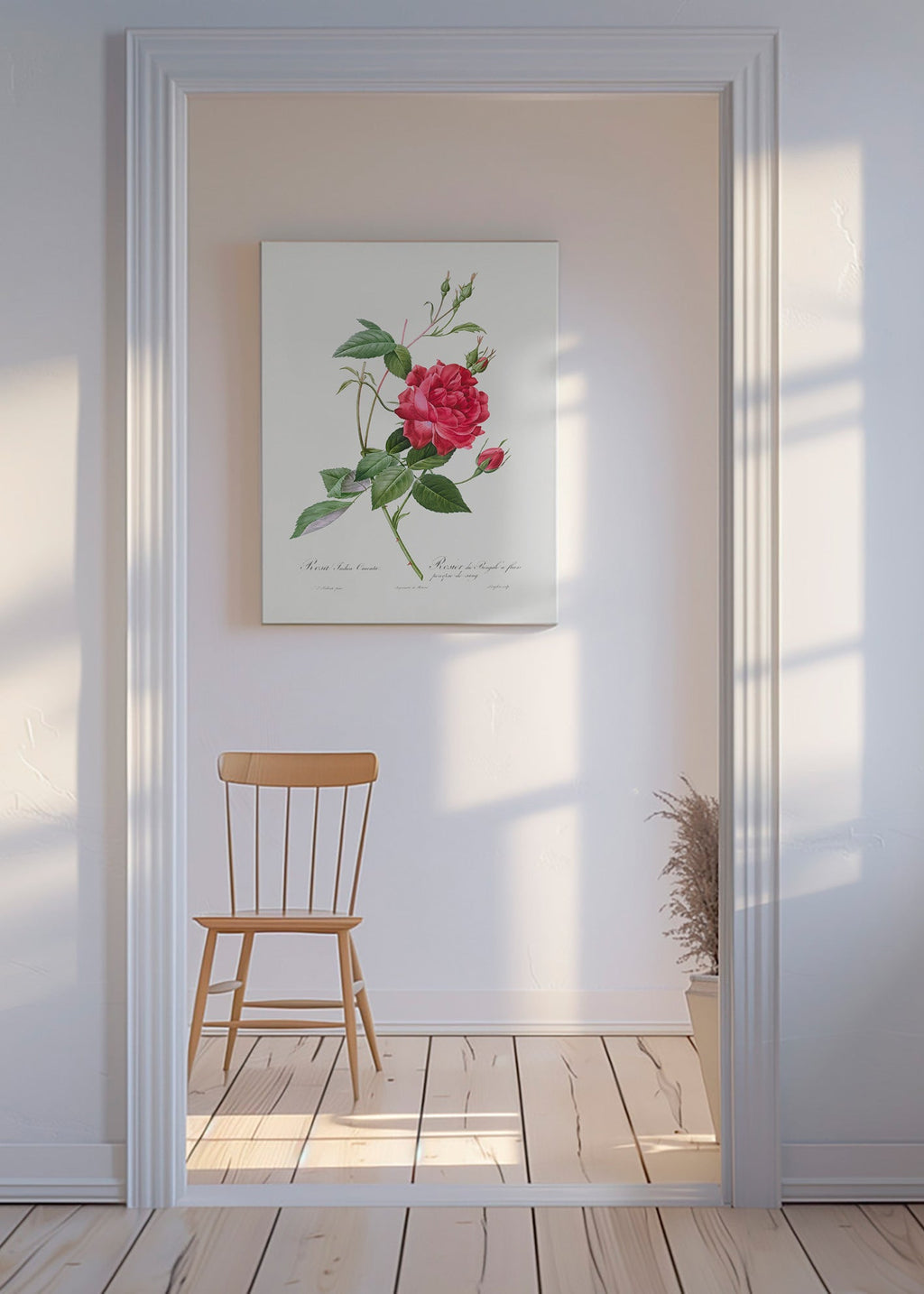 Botanisk plakat med rød rose i tæt visning – Canvas