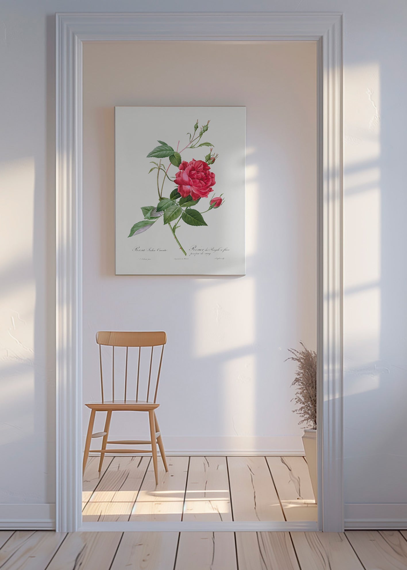Botanisk plakat med rød rose i tæt visning – Canvas