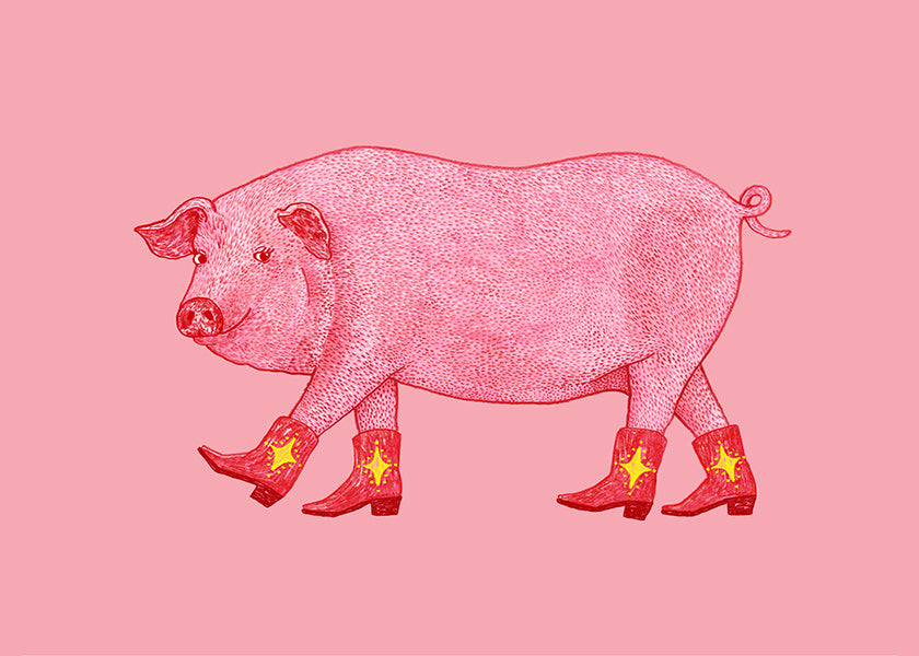 Illustration svin cowgirl