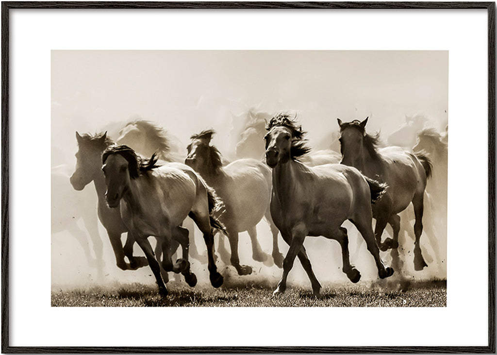 Løbende heste i sepia – Black Frame