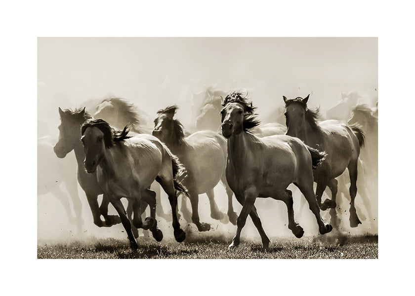 Løbende heste i sepia