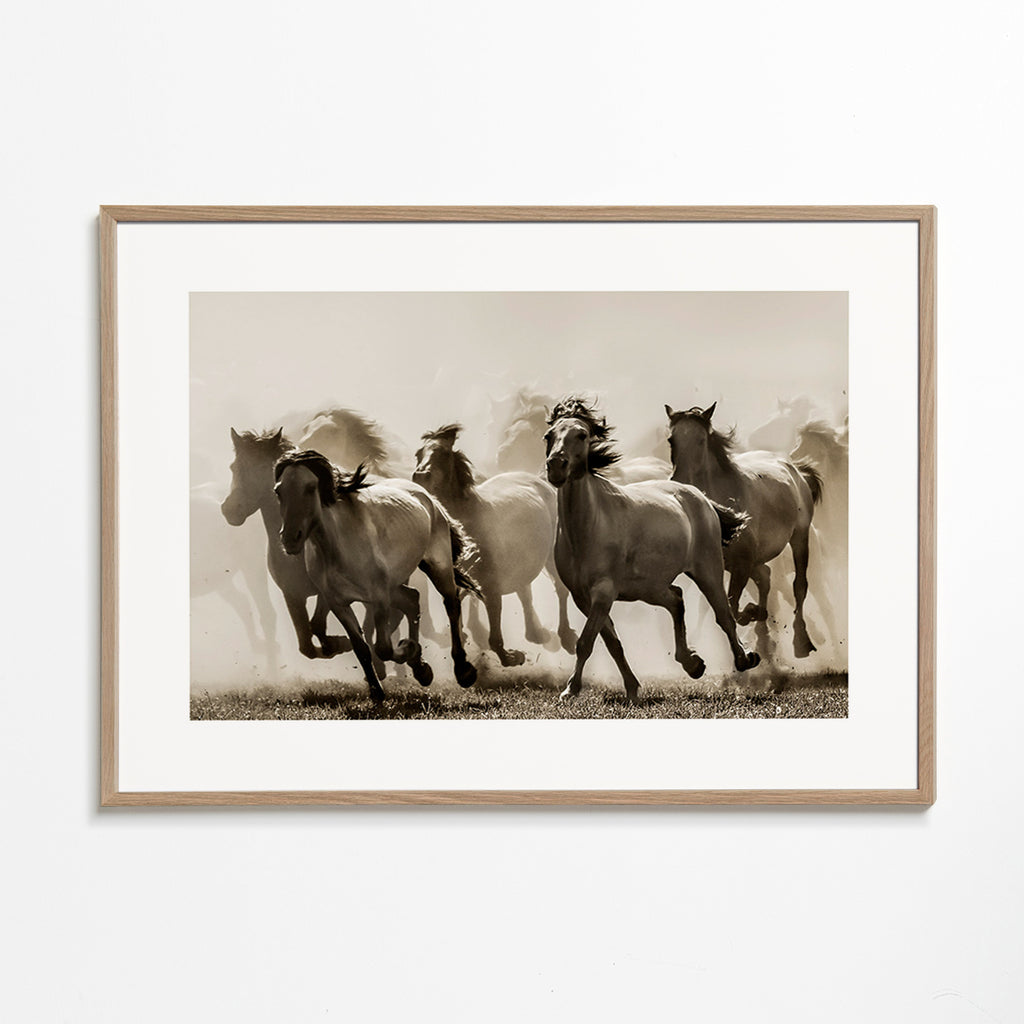 Løbende heste i sepia – Oak Frame