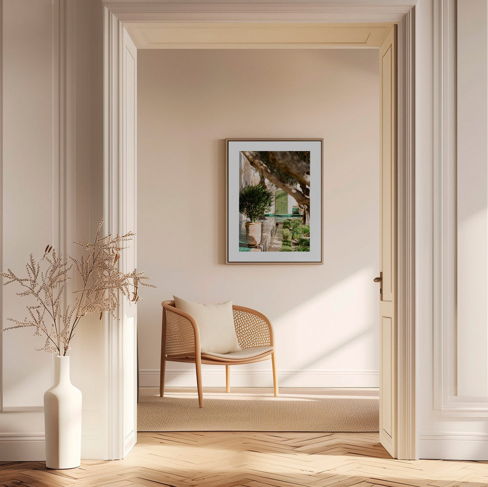 Botanisk plakat: middelhavsgård – Canvas2