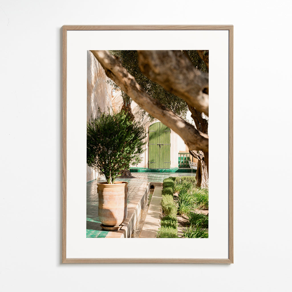Botanisk plakat: middelhavsgård – Oak Frame