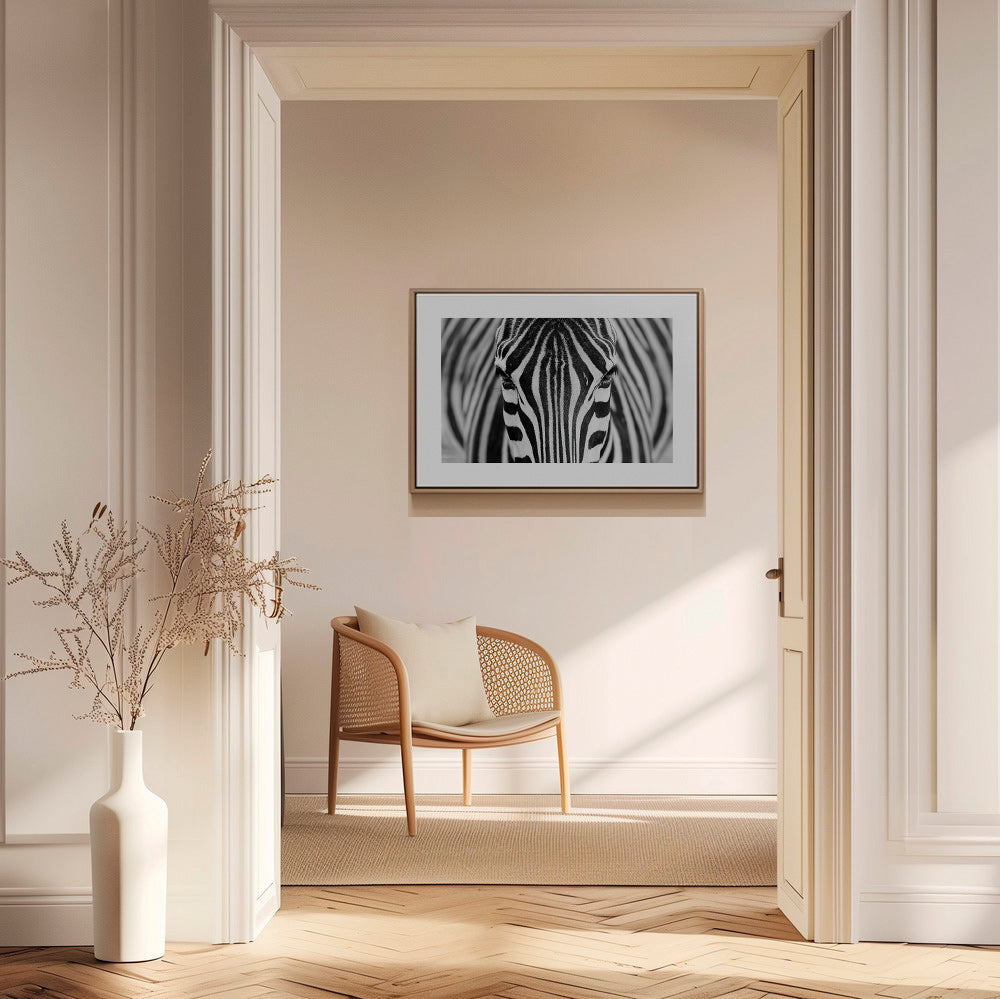 Zebra close-up fotografi – Canvas1