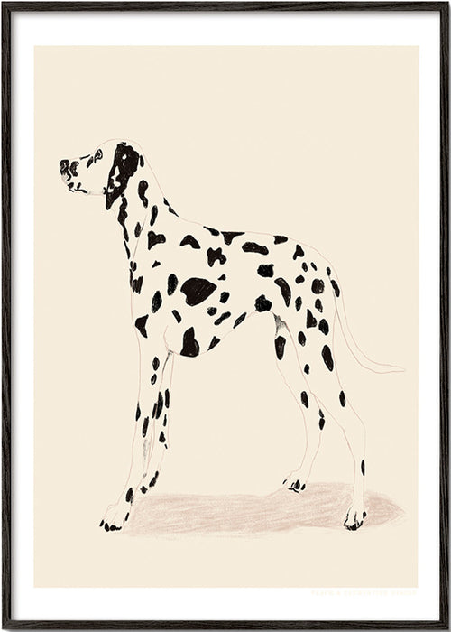 Dalmatiner plakat i minimalistisk streg – Black Frame