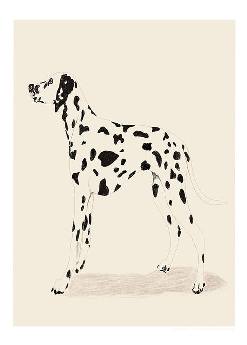 Dalmatiner plakat i minimalistisk streg