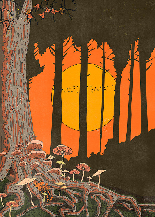Illustration skov ved solnedgang med svampe