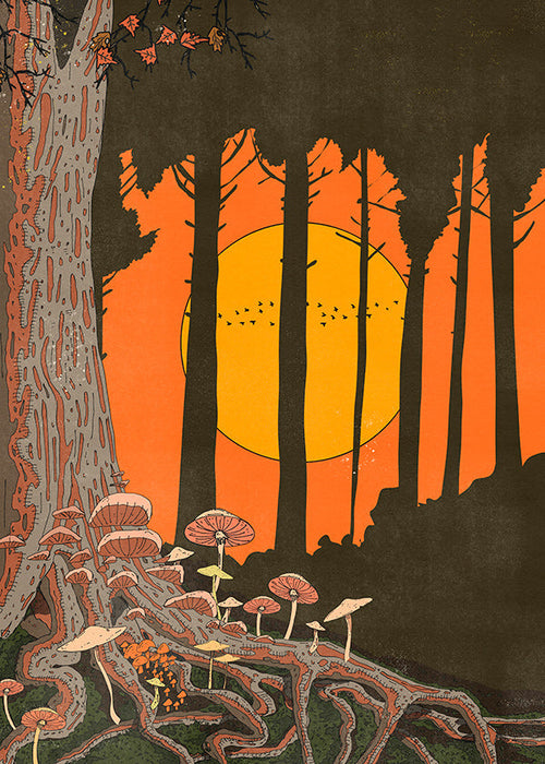 Illustration skov ved solnedgang med svampe