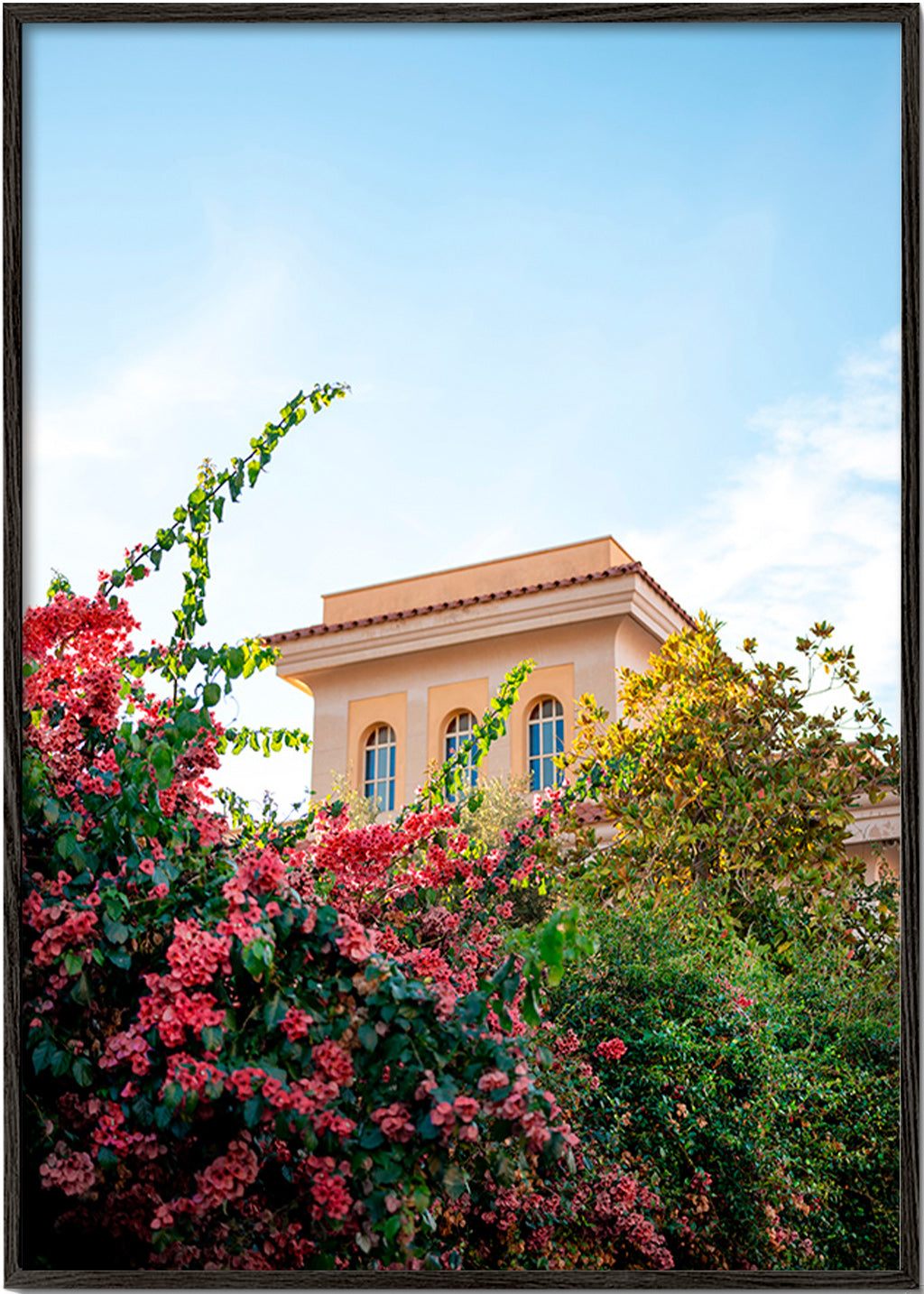 Botanisk plakat med Amalfi-facade og bougainvillea – Black Frame