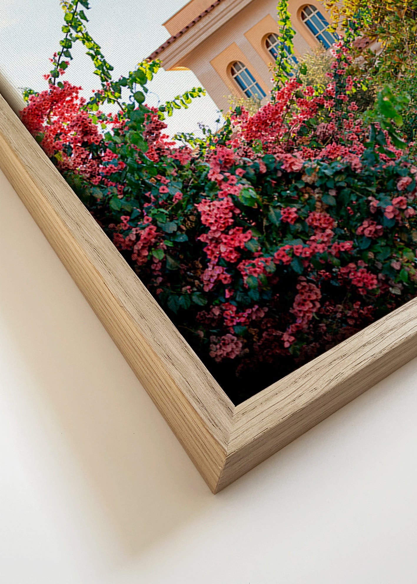 Botanisk plakat med Amalfi-facade og bougainvillea – Canvas detail