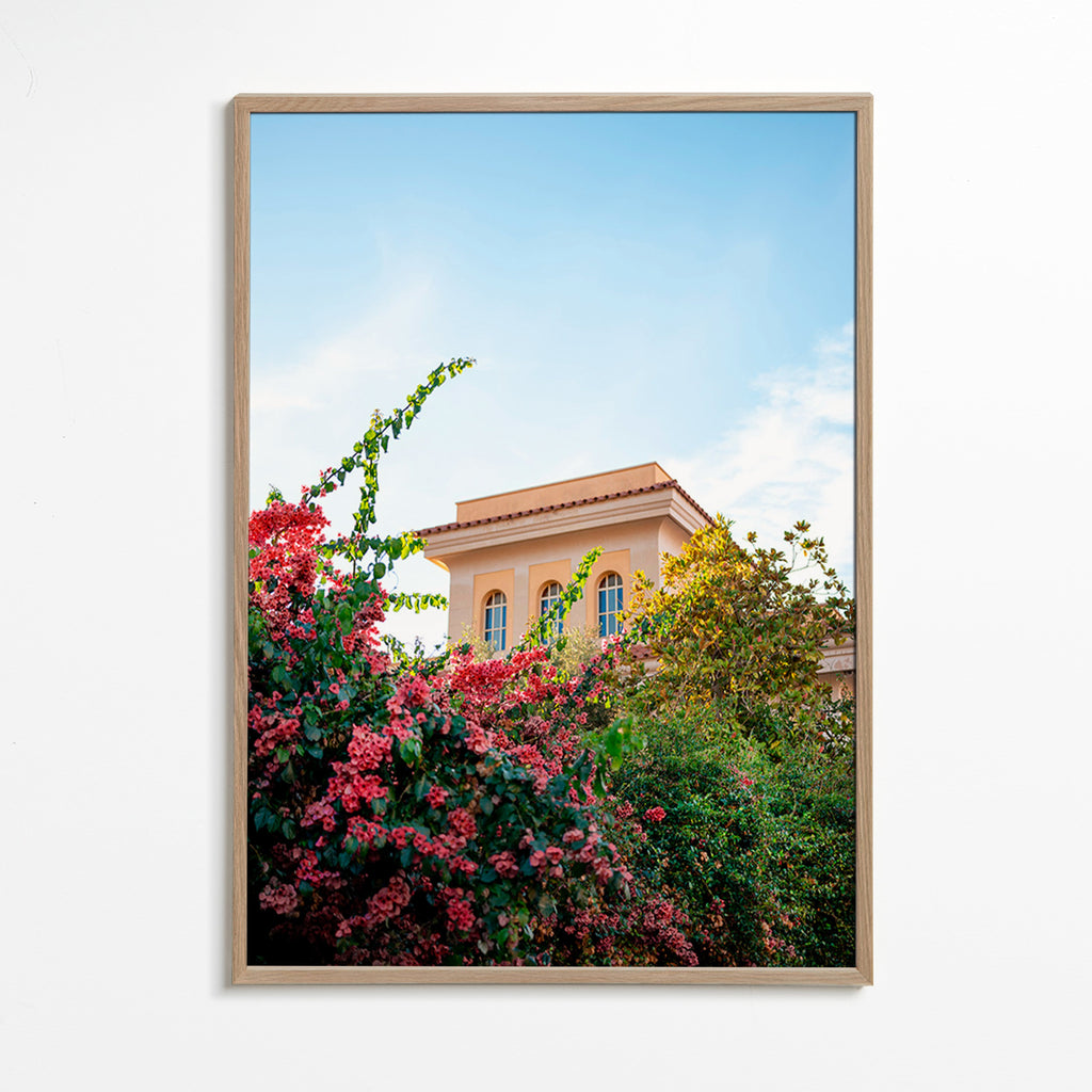 Botanisk plakat med Amalfi-facade og bougainvillea – Oak Frame
