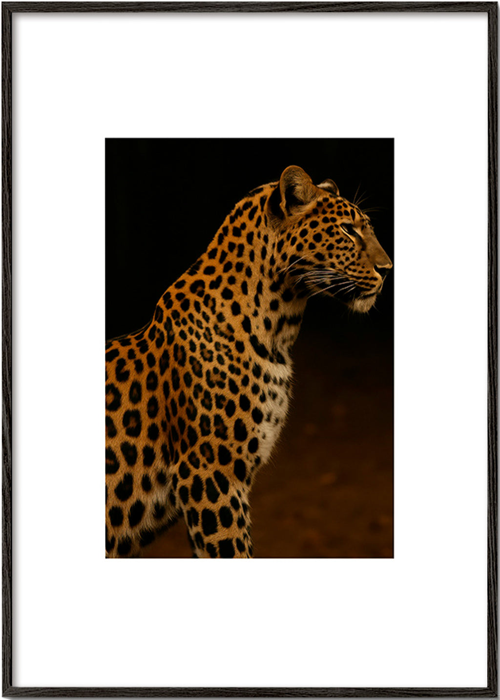Kunstværk leopard profil – Black Frame