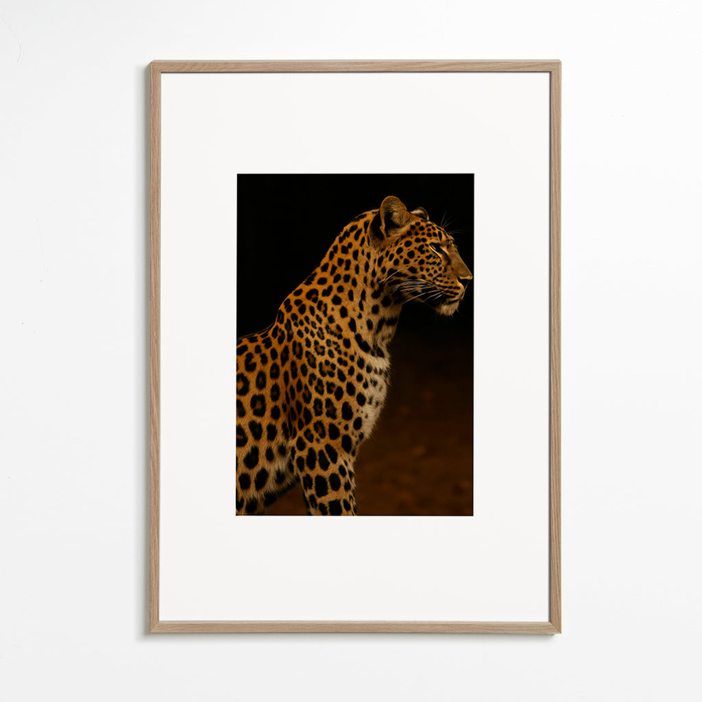 Kunstværk leopard profil – Oak Frame