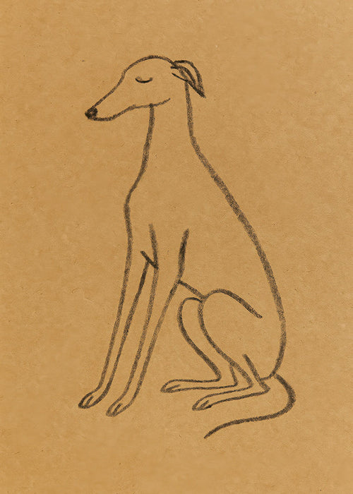 Galgo-silhuet linjetegning