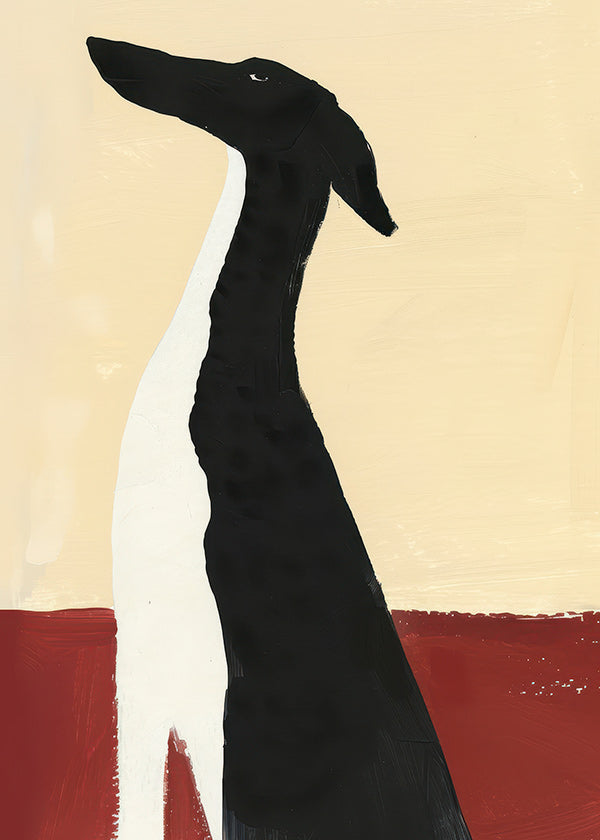 Elegant galgo i minimalistisk komposition