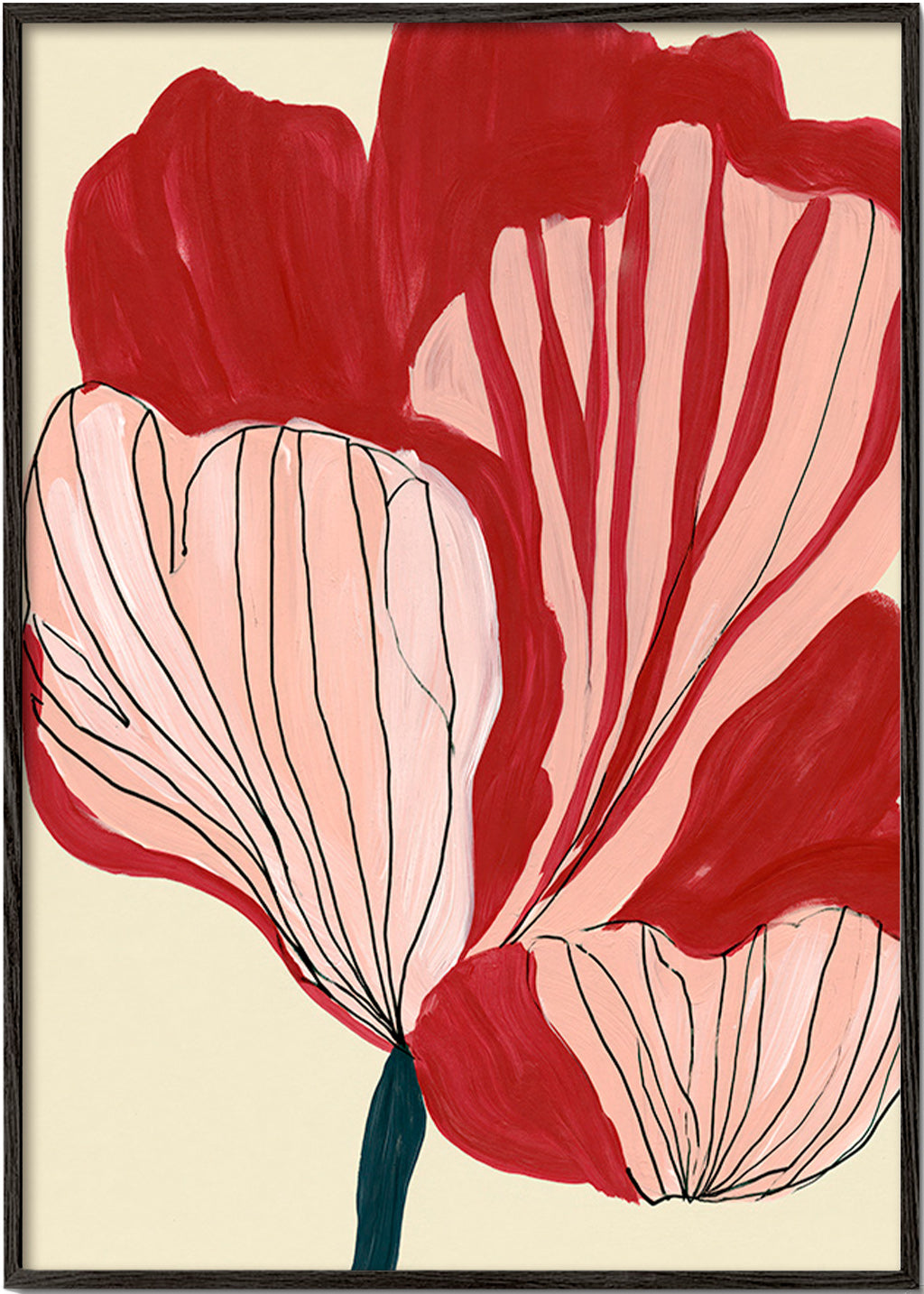 Botanisk plakat skarlagenblomster – Black Frame