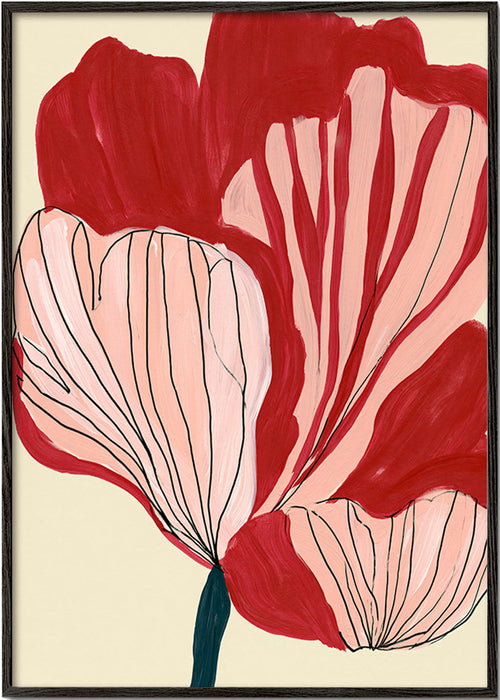 Botanisk plakat skarlagenblomster – Black Frame