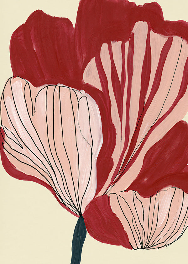 Botanisk plakat skarlagenblomster