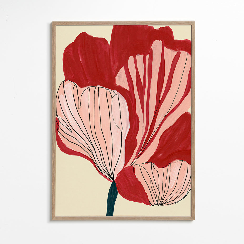 Botanisk plakat skarlagenblomster – Oak Frame