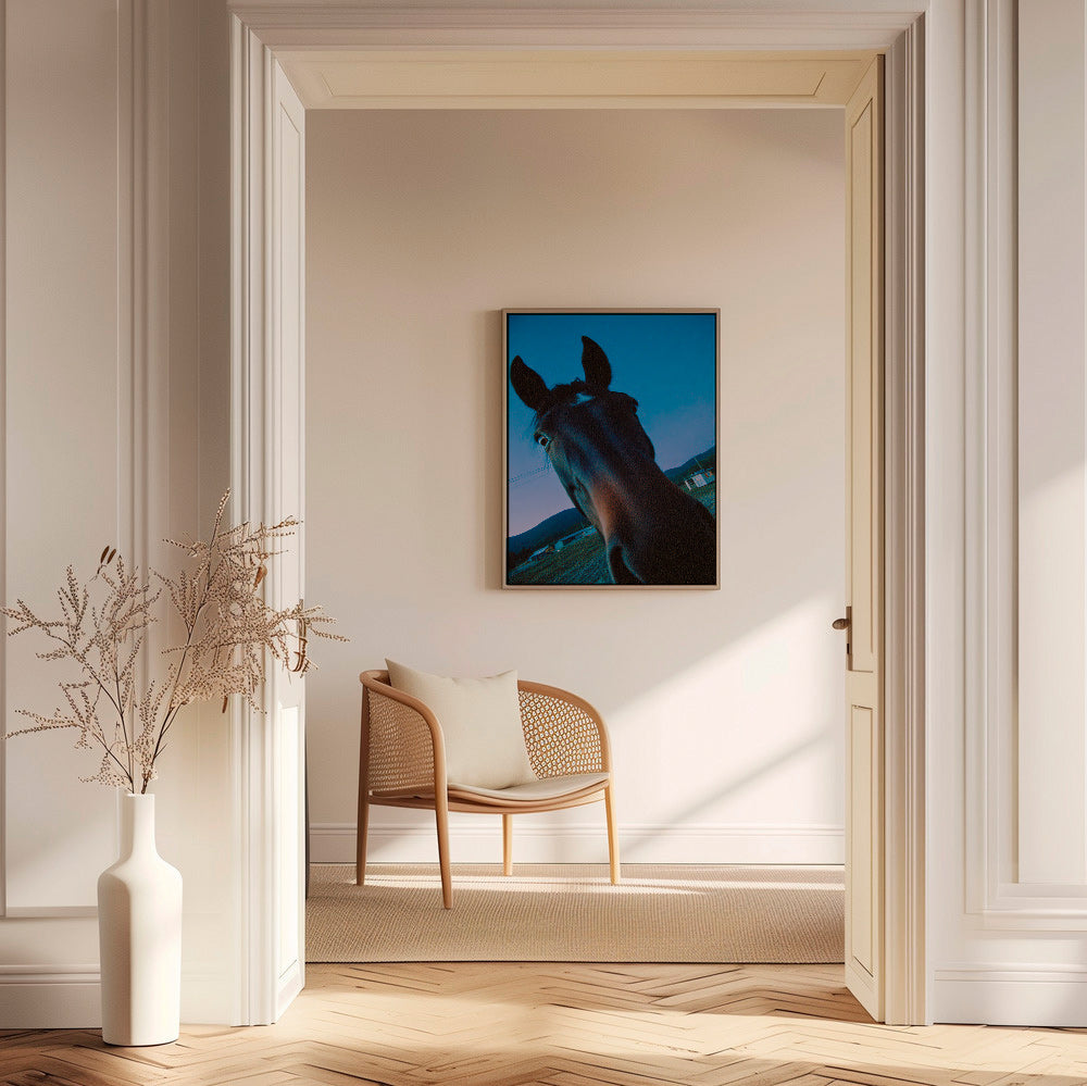 Køkkenkunst hest nærbillede skumring