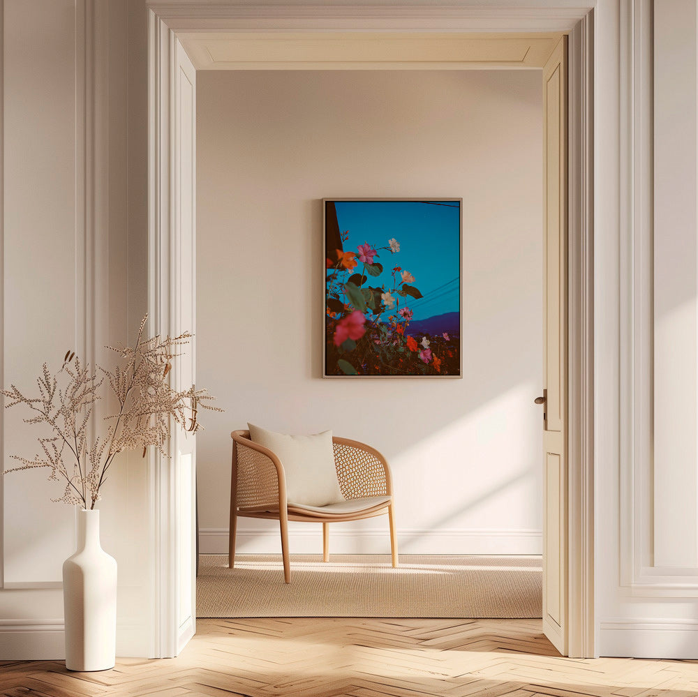 Botanisk plakat: bougainvillea ved skumring