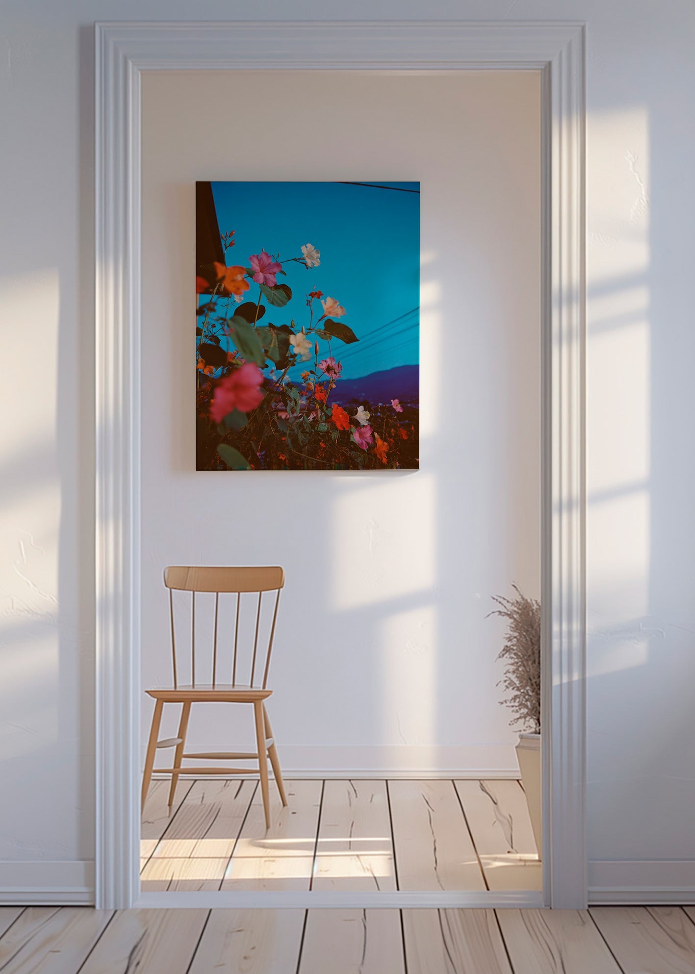 Botanisk plakat: bougainvillea ved skumring