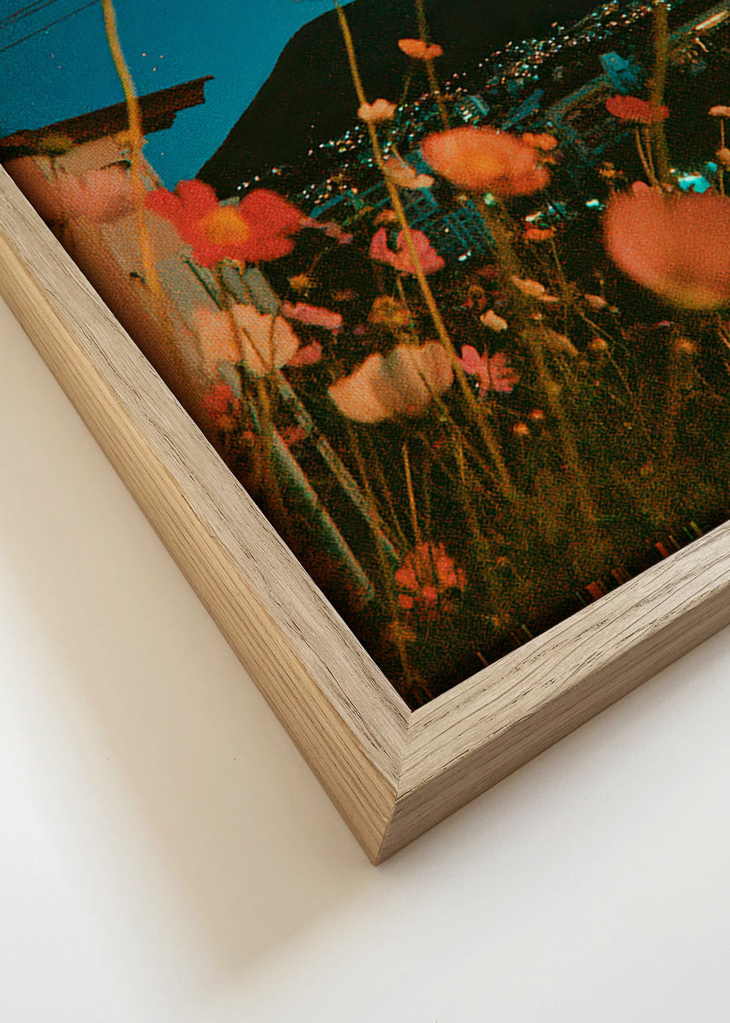 Botanisk plakat vilde blomster over by ved skumring
