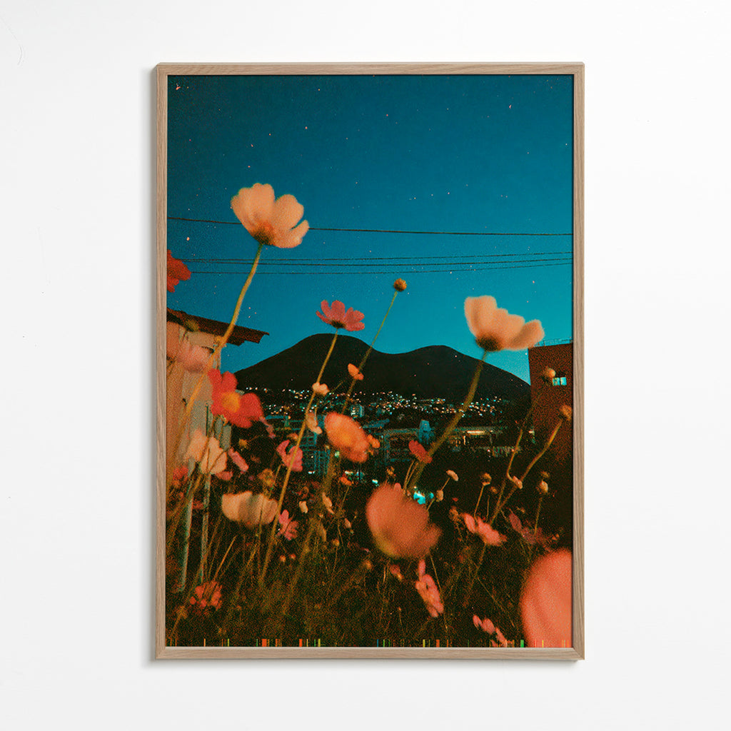 Botanisk plakat vilde blomster over by ved skumring